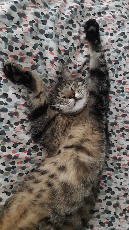 Simba