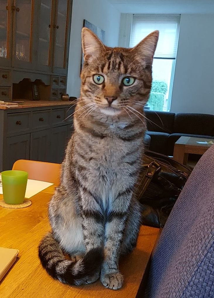 Simba