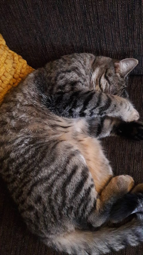 Simba